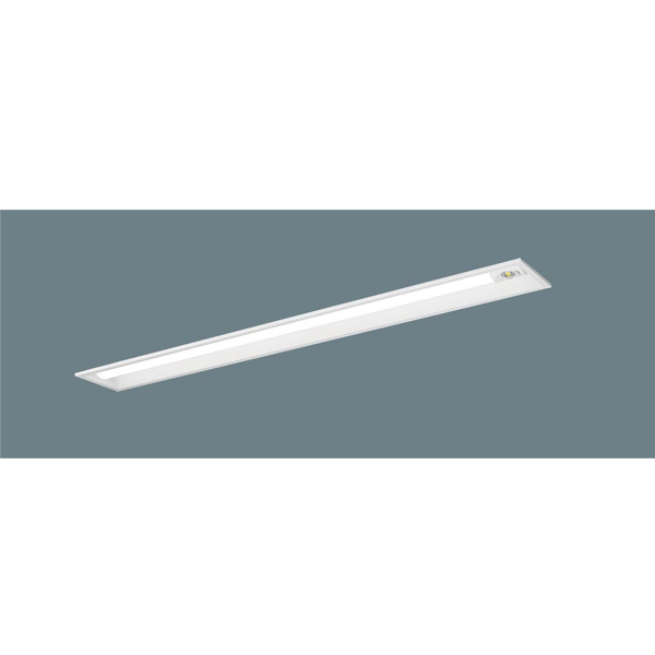 パナソニック リニューアル用 器具本体(非常用) 30分間タイプ 自己点検スイッチ付 NNLG41315